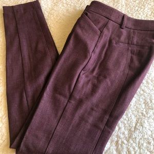 Express Burgundy/Wine Slacks